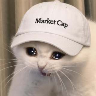 sad cat