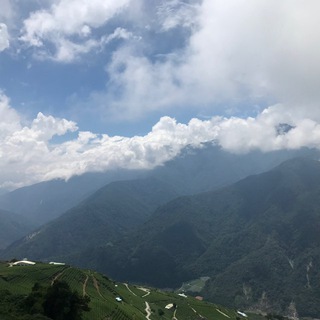 台灣茶葉與生活交流區