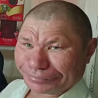 ДеграПредлоБот