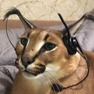 Spotify Bot