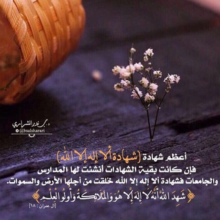 قناة أ.د. بندر الشراري