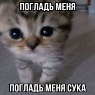 Связь и отзывы матты.