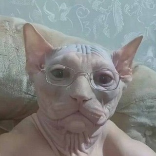 макс
