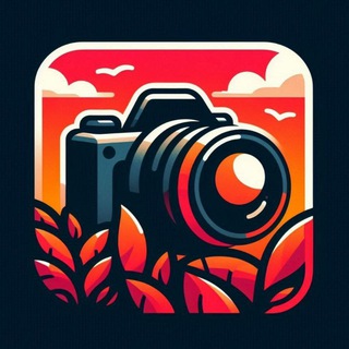 Le coin des photographes/vidéaste 📸