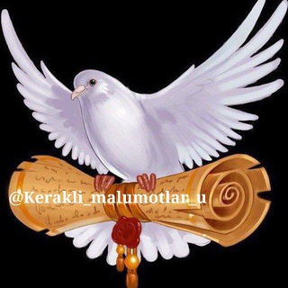 Kerakli ma'lumotlar