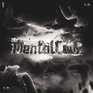 mentalcam