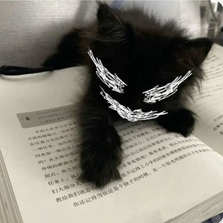 ™𝕮𝖎𝖓𝖊𝕻𝖍𝖎𝖑𝖘 𝕮𝖍𝖆𝖙 - ( قروب مجموعة سوالف )