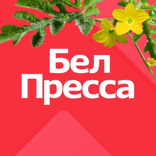 БелПресса | Новости Белгорода и Белгородской области