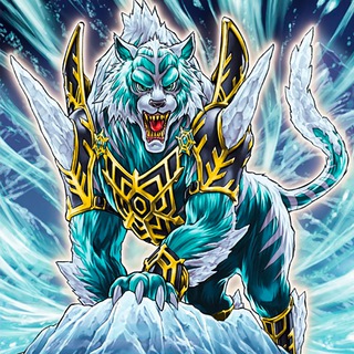 Yu Gi Oh ITA - Duelli e Tornei