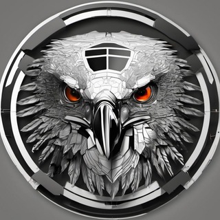 #1 Black Hawks 𖤍