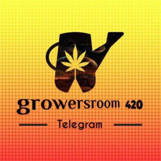 Growersroom https://t.me/Barevarevv Ալիք