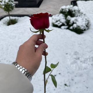 Saydaliyeva