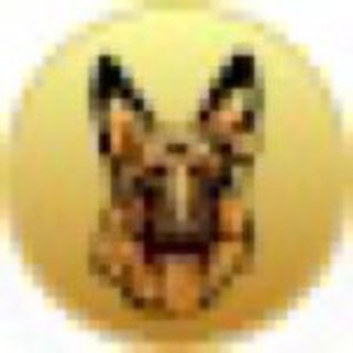 LuckyFortuneDog