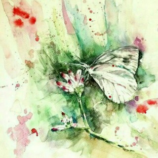 خطاب به پروانه ها