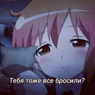 чвк python
