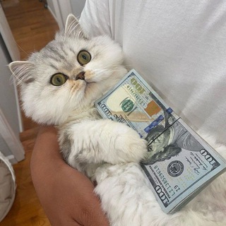 1337