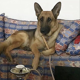 Никита Боев