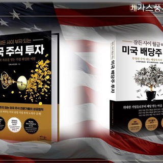 베가스풍류객 미국주식 이야기