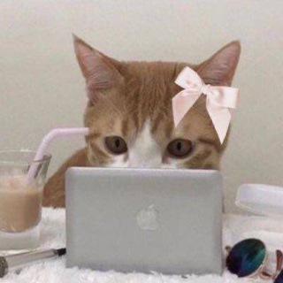Элина Менеджер Олеси Ван