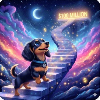 Wiener Doge on Solana 🚀🌕💎