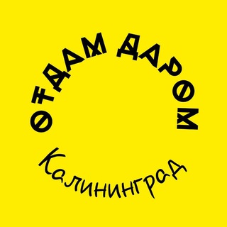 Отдам даром, Калининград