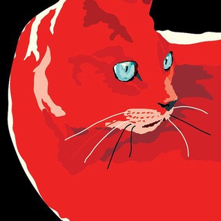 Red Cat