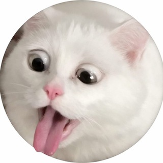 Αnδrϵɑ|฿