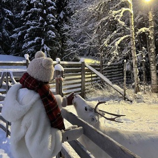 авы/звезды от гели🎄