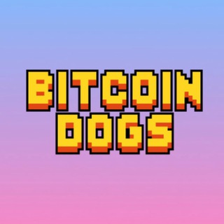 Bitcoin Dogs Club | Official
