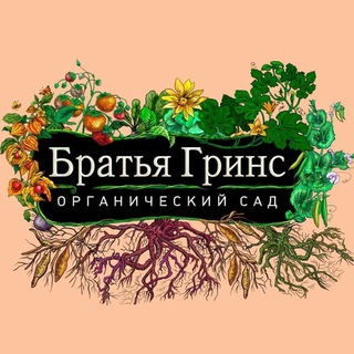 Братья Гринс