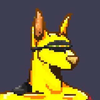 DogX Chat