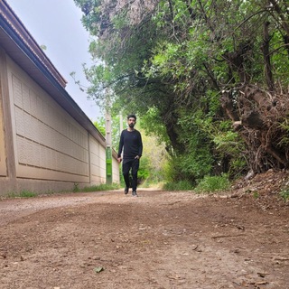Ashkan Moghaddas