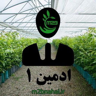 ادمین 1میاندوآب نهال