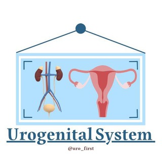 Urogenital System