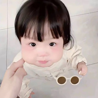 一北双向bot
