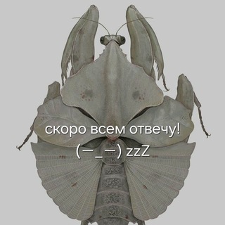 Na HCO3