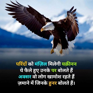 SUNIL K SAINI