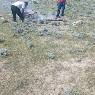 Davlatova Nargiza