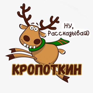 Предложить новость Кропоткин