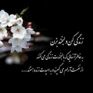 احسان مصلائی زاده