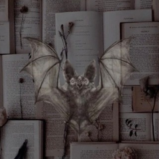 книжный клуб интроверта 🦇 Chat