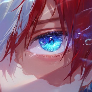 Shouto Bot