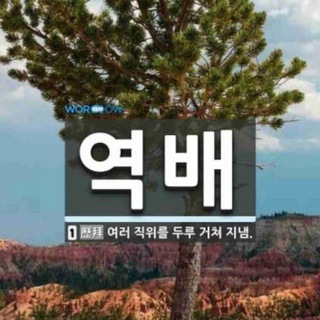 역배 꽁머니 공유채널