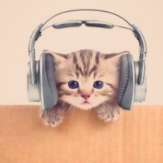 CAT Music