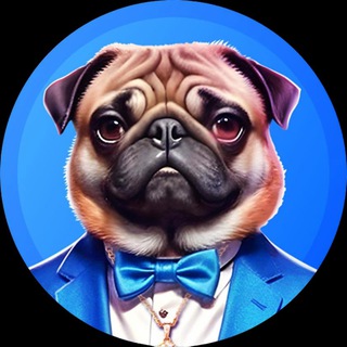 Rich Pug 🐾