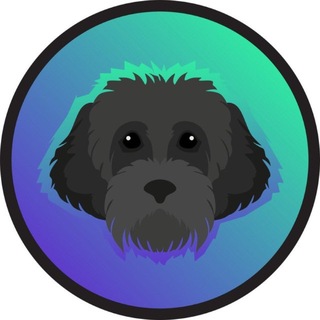 MYRO | The Solana Founders Dog🐕‍🦺