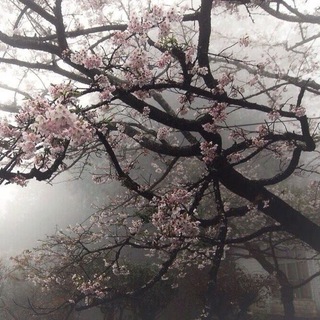 おばけ(1)