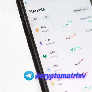 Crypto Matrix Loans & Investments