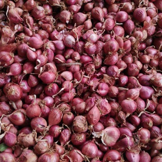 All India fruit & vegetable sellers