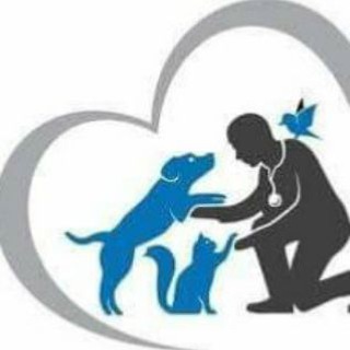 Veterinary Books in PDF Form